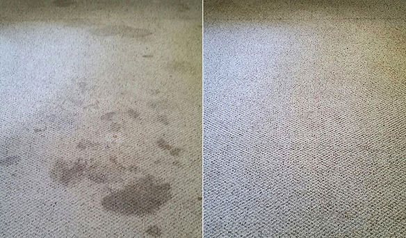 Carpet before and after cleaning